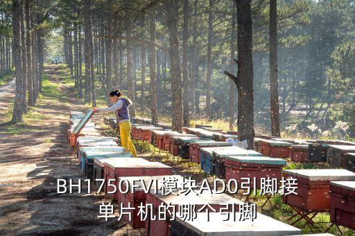 bh1750，哪位好心人能給我 亮度傳感器 BH1750FVI 的資料啊要具體的這里
