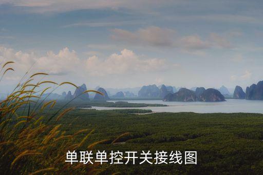 單聯(lián)單控開關(guān)接線圖