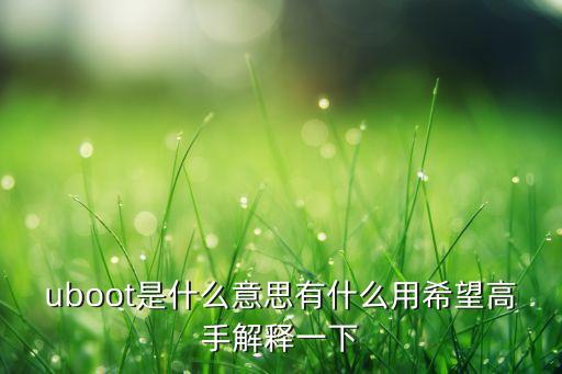 uboot是什么意思有什么用希望高手解釋一下