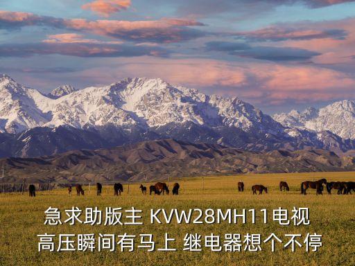 急求助版主 KVW28MH11電視 高壓瞬間有馬上 繼電器想個不停