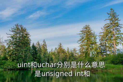 uint和uchar分別是什么意思 是unsigned int和