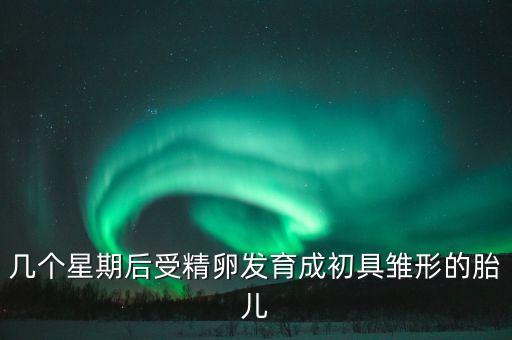 幾個(gè)星期后受精卵發(fā)育成初具雛形的胎兒