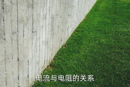 電流與電阻的關(guān)系