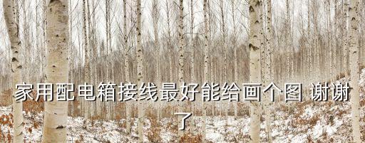 電箱線路圖，強電箱接線圖