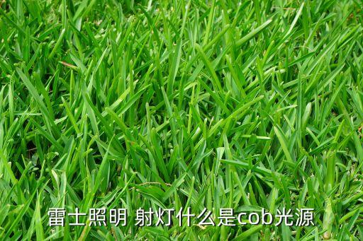雷士照明 射燈什么是cob光源