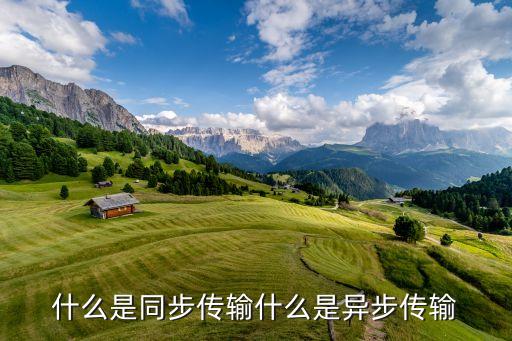 同步傳輸，什么是同步傳輸什么是異步傳輸