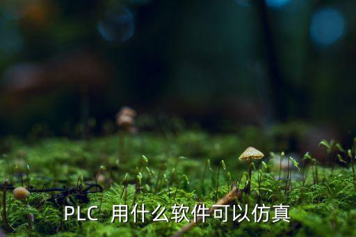 PLC  用什么軟件可以仿真