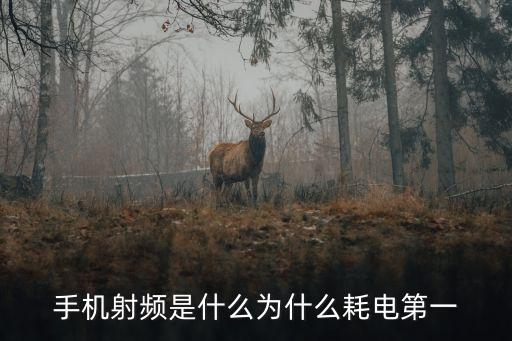 射頻信號(hào)，脈沖射頻信號(hào)是什么意思