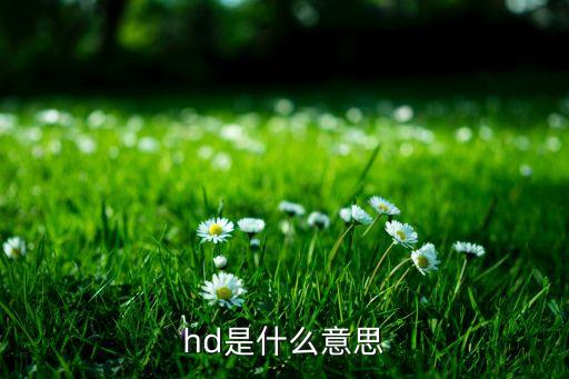 hd，HD是什么意思呢