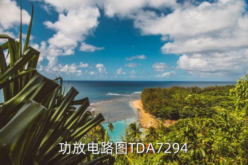 tda7294，TDA7294電源問題