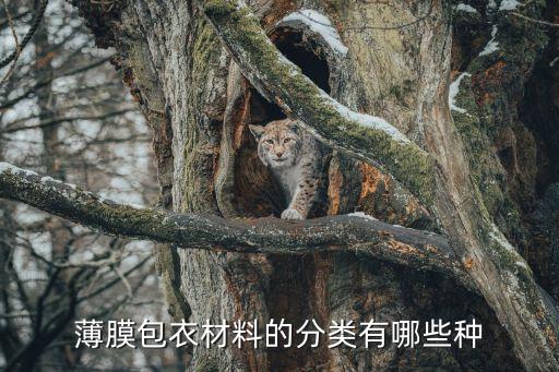 薄膜材料，薄膜包衣材料的分類有哪些種