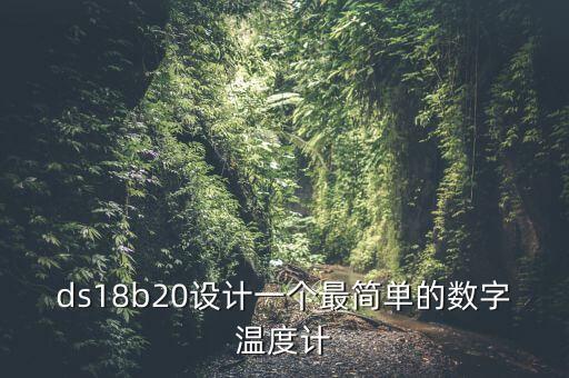 數(shù)字溫度計(jì)，數(shù)字貝克曼溫度計(jì)與普通溫度計(jì)的主要區(qū)別是什么