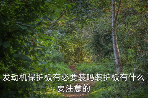 發(fā)動(dòng)機(jī)保護(hù)板有必要裝嗎裝護(hù)板有什么要注意的