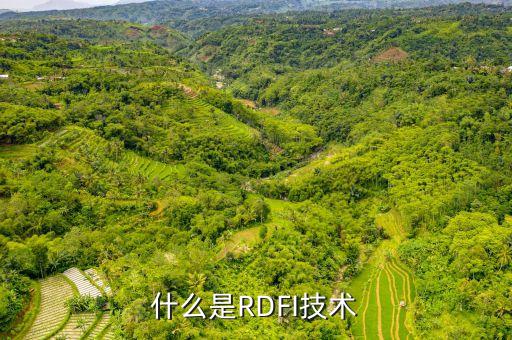 什么是RDFI技術(shù)