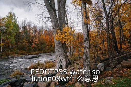 PEDOTPSS water solution08wt什么意思