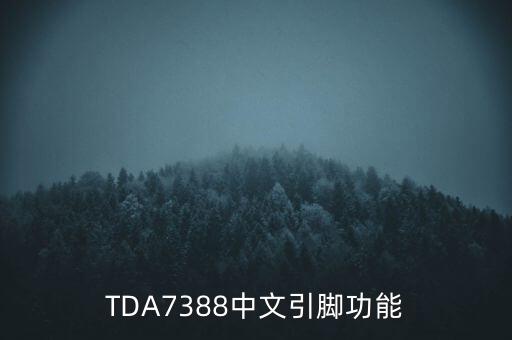 TDA7388中文引腳功能