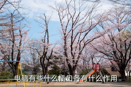 電腦有些什么插口各有什么作用