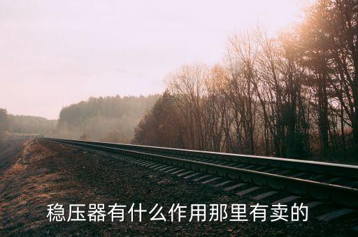穩(wěn)壓器，穩(wěn)壓器具體是個(gè)什么東西
