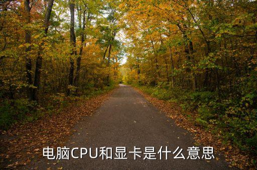 電腦CPU和顯卡是什么意思