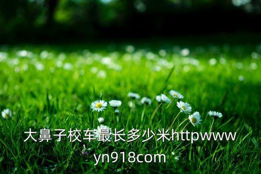 大鼻子校車最長(zhǎng)多少米httpwwwyn918com