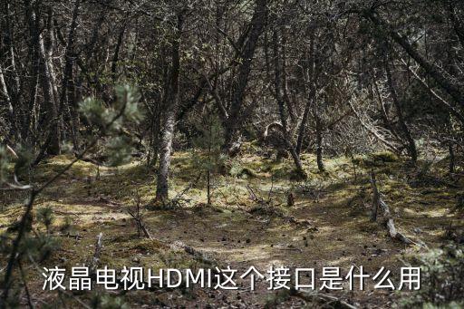 液晶電視HDMI這個(gè)接口是什么用