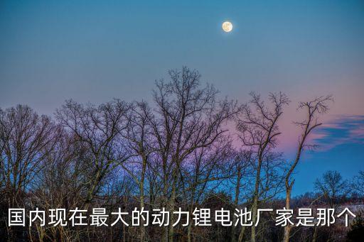 國內(nèi)現(xiàn)在最大的動力鋰電池廠家是那個