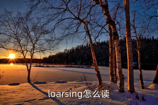 loar，loarsing怎么讀