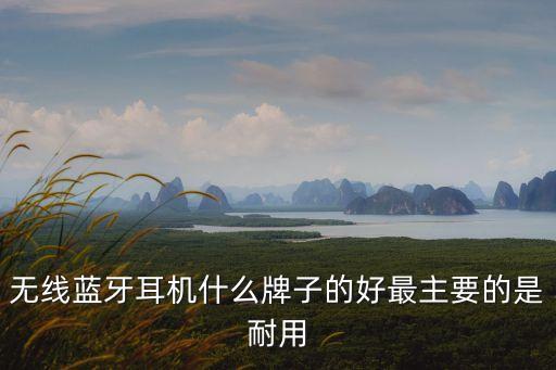 無線藍(lán)牙耳機(jī)哪個(gè)品牌好，哪個(gè)藍(lán)牙耳機(jī)的牌子比較好