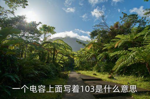 電容103，瓷片電容103在電路中怎樣查好壞