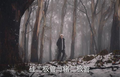 鍺二極管，硅二極管與鍺二極管