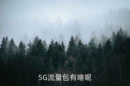 5g流量包，怎么取消移動(dòng)10元5g流量浙江