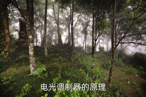 電光調制器的原理