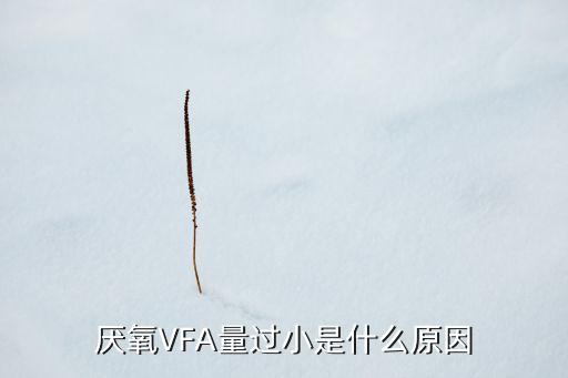 厭氧VFA量過小是什么原因