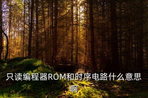 只讀編程器ROM和時(shí)序電路什么意思啊