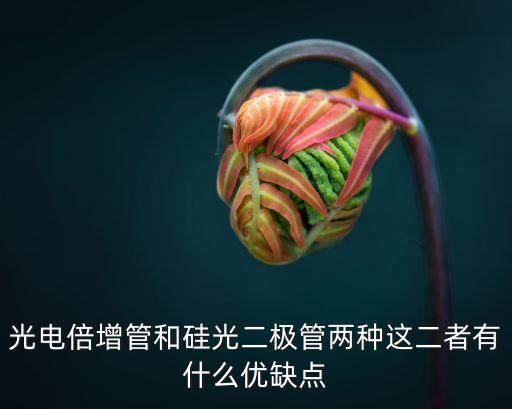 光電倍增管和硅光二極管兩種這二者有什么優(yōu)缺點(diǎn)