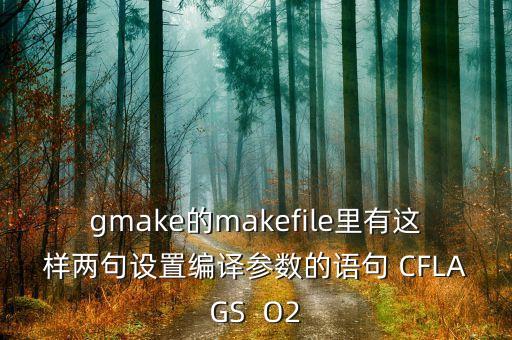 gmake的makefile里有這樣兩句設(shè)置編譯參數(shù)的語句 CFLAGS  O2