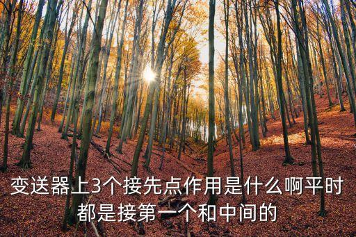 變送器上3個(gè)接先點(diǎn)作用是什么啊平時(shí)都是接第一個(gè)和中間的
