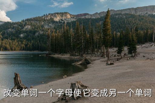 chiplet，改變單詞一個(gè)字母使它變成另一個(gè)單詞