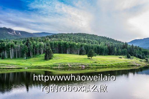httpwwwhaoweilaiorg的robox怎么做