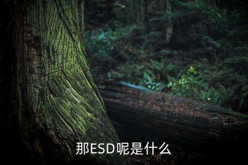那ESD呢是什么