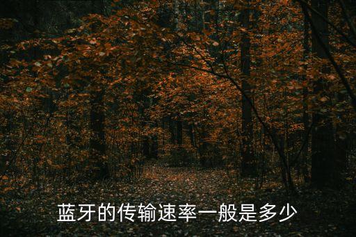 藍牙傳輸速率，藍牙傳輸?shù)乃俣仁嵌嗌? /></a><a href=