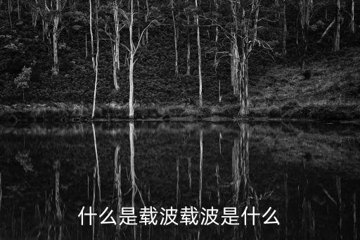 什么是載波載波是什么