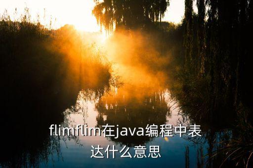flimflim在java編程中表達(dá)什么意思