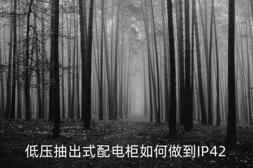 低壓抽出式配電柜如何做到IP42