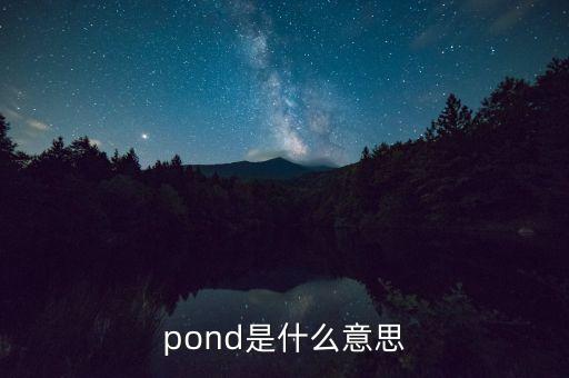 pond是什么意思