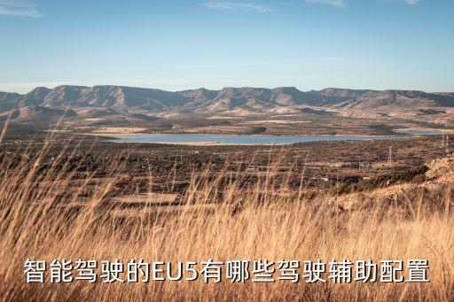 智能駕駛輔助系統(tǒng)，智能行車助手是什么