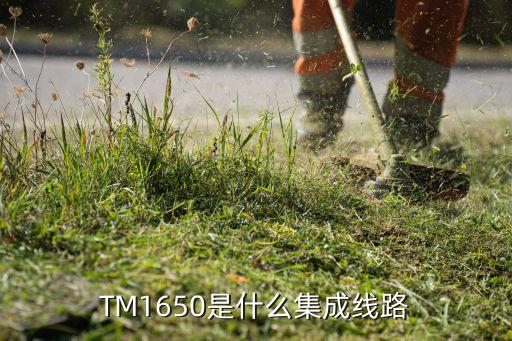 tm1650，CPUAMD E450 APU with Radeontm HD Graphics1650 Mhz 內(nèi)存