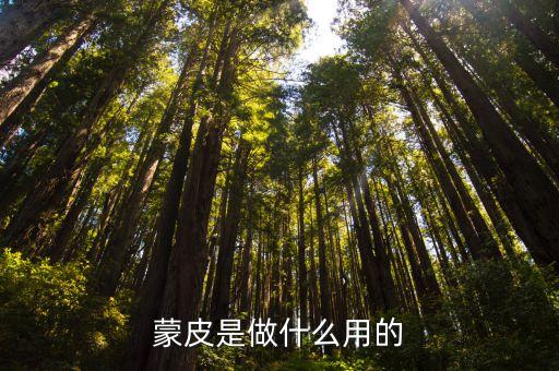 蒙皮是做什么用的