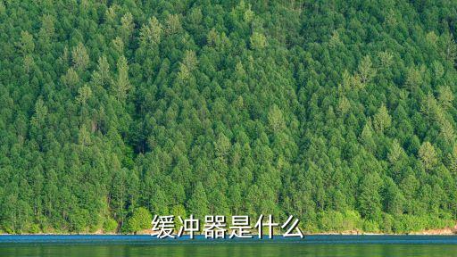 緩沖器是什么