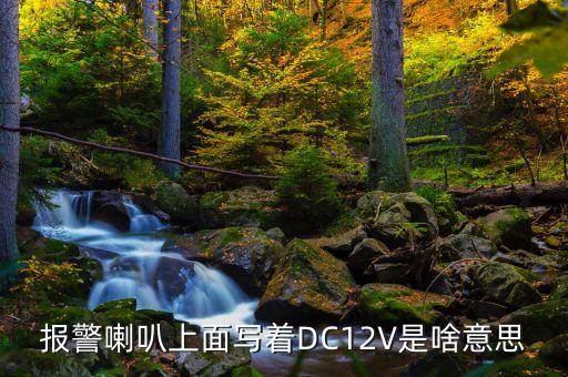 報(bào)警喇叭上面寫著DC12V是啥意思